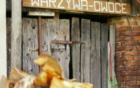 Zagroda Malinowa - Najpiękniejsza Wieś Wojew&oacute;dztwa Śląskiego 38