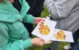 Zdjęcie WhatsApp 2025-09-29 o 12.16.57_ff9db99a