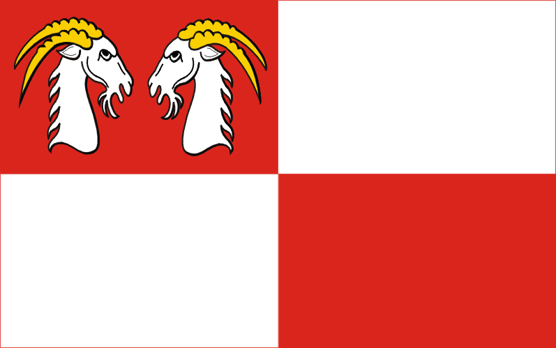 flaga gminy kozy